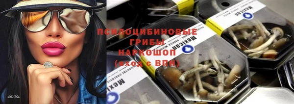 крисы Вязьма