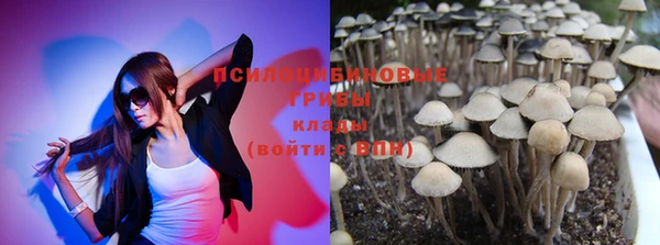 прущие крисы Карпинск