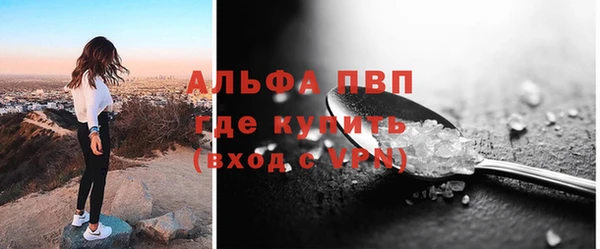 ПСИЛОЦИБИНОВЫЕ ГРИБЫ Вязники