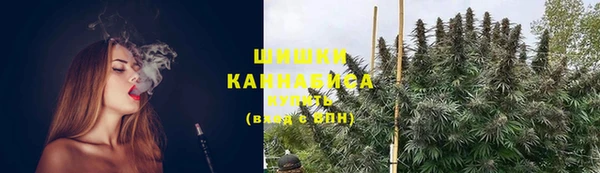крисы Вязьма