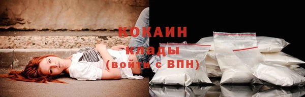 ПСИЛОЦИБИНОВЫЕ ГРИБЫ Вязники