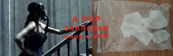 ПСИЛОЦИБИНОВЫЕ ГРИБЫ Вязники