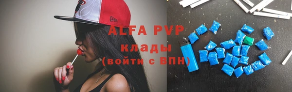 стафф Гусев