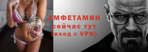 крисы Вязьма