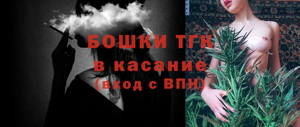ПСИЛОЦИБИНОВЫЕ ГРИБЫ Вязники