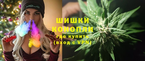 ПСИЛОЦИБИНОВЫЕ ГРИБЫ Вязники